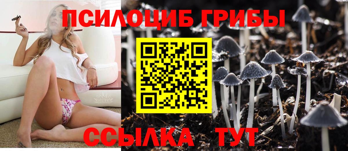 Псилоцибиновые грибы Psilocybe  Вход с VPN  Можайск  Псилоцибиновые грибы прущие грибы 
